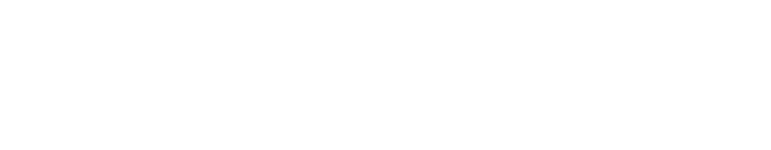 Blue Cross Blue Shield